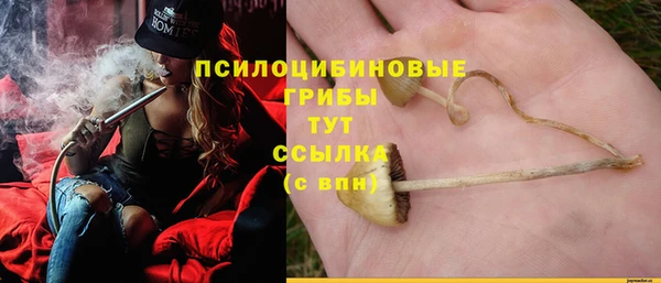 прущие крисы Пересвет