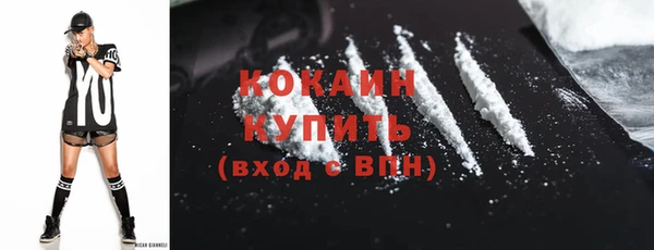apvp Пестово