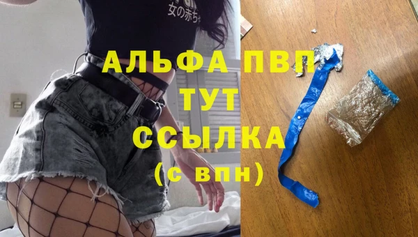 прущие крисы Пересвет