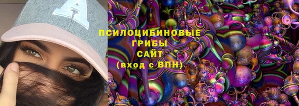 прущие крисы Пересвет