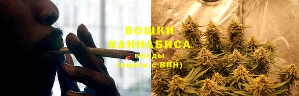 прущие крисы Пересвет