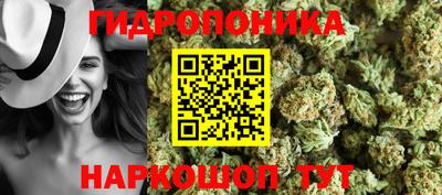 шишки Балаково