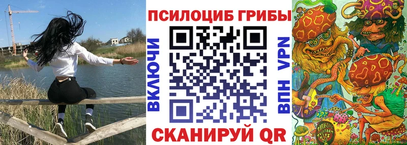 Галлюциногенные грибы Psilocybe  как найти закладки  Большой Камень 