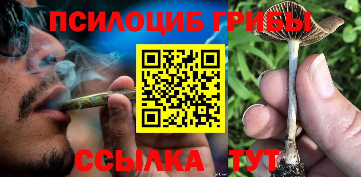 Псилоцибиновые грибы мухоморы  Большой Камень 