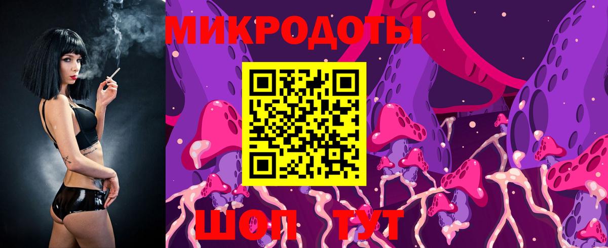 Галлюциногенные грибы Psilocybe Большой Камень